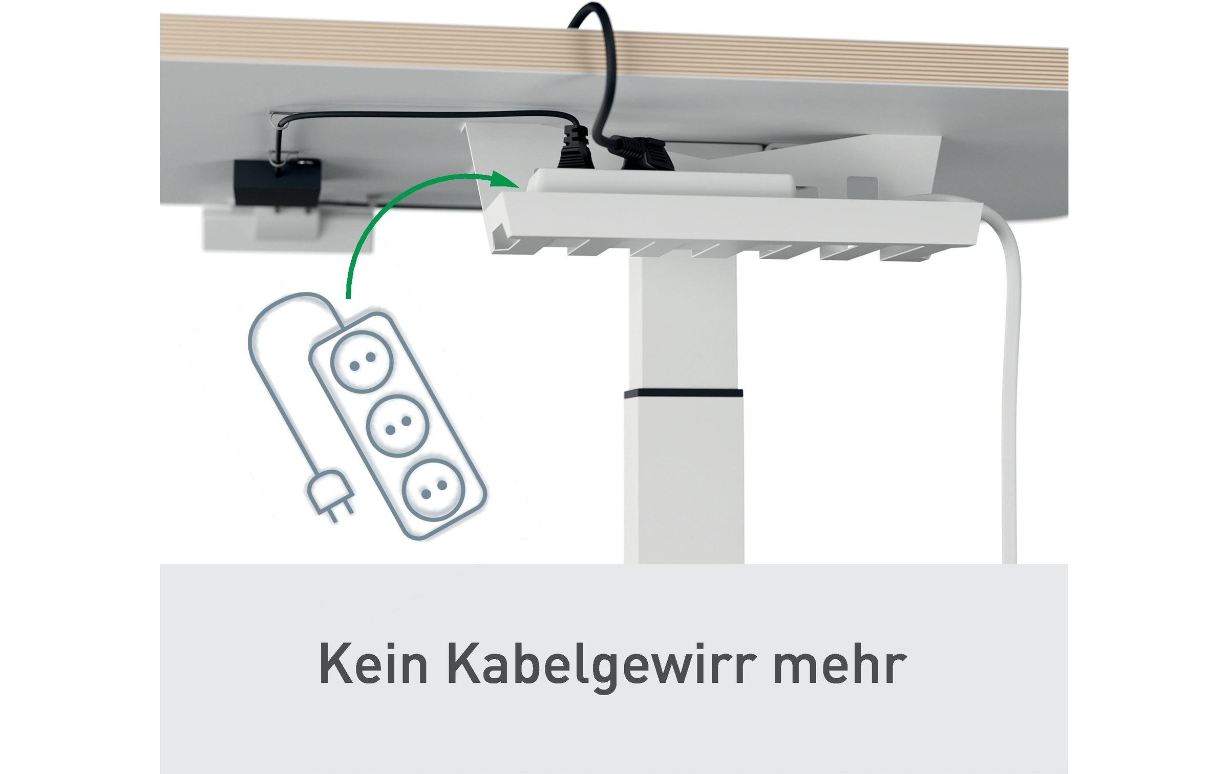 LEITZ Schreibtisch