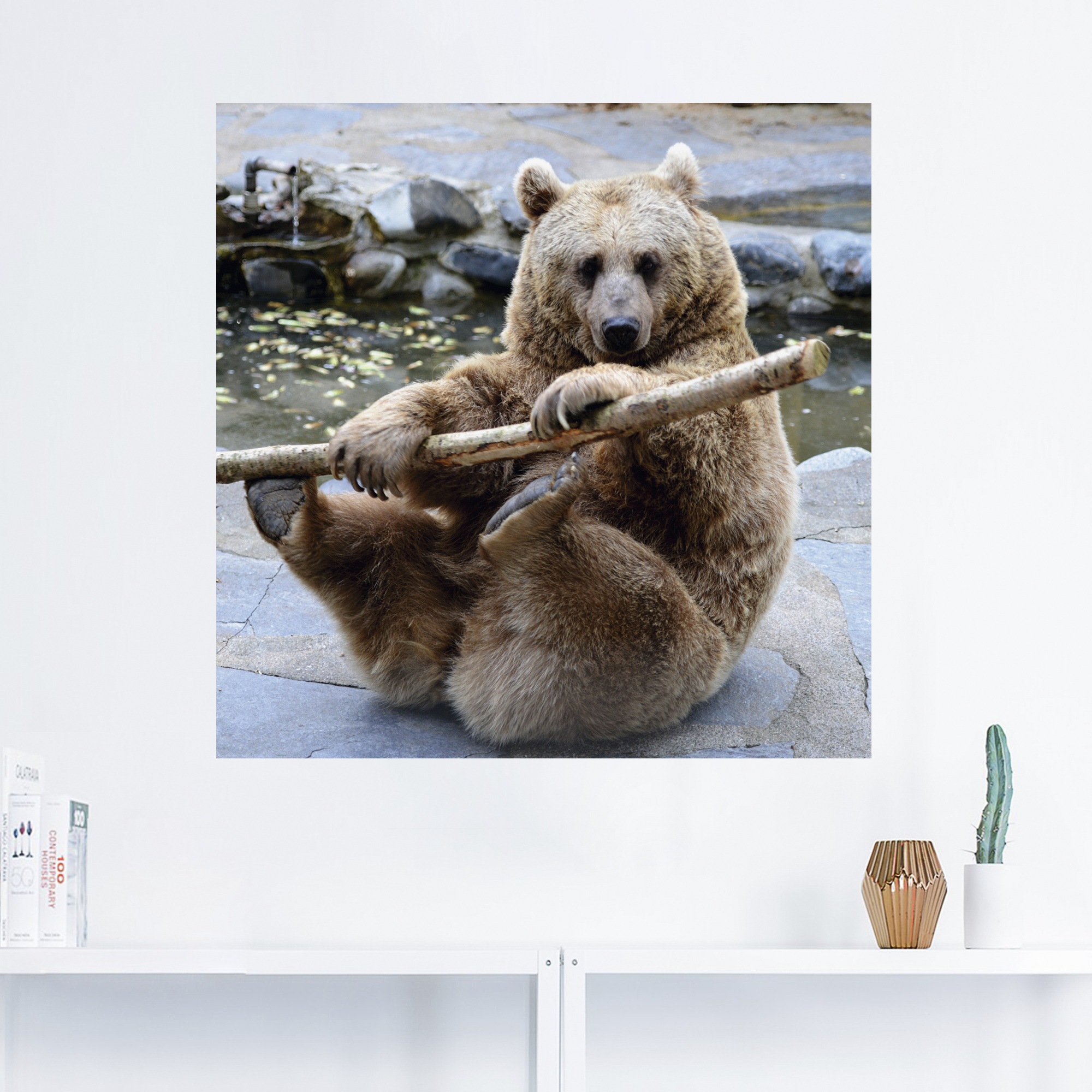 Gehen Sie zum Online-Shop! Artland Wandbild »Bär versch. | bestellen Leinwandbild, II«, (1 Jelmoli-Versand Wildtiere, als online Wandaufkleber Poster oder in St.), Grössen Alubild