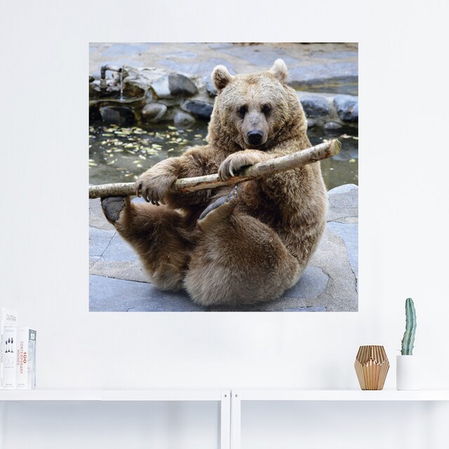bestellen Wandaufkleber online in Poster »Bär Leinwandbild, oder II«, (1 Artland Wildtiere, versch. als Alubild, Jelmoli-Versand | Grössen Wandbild St.),