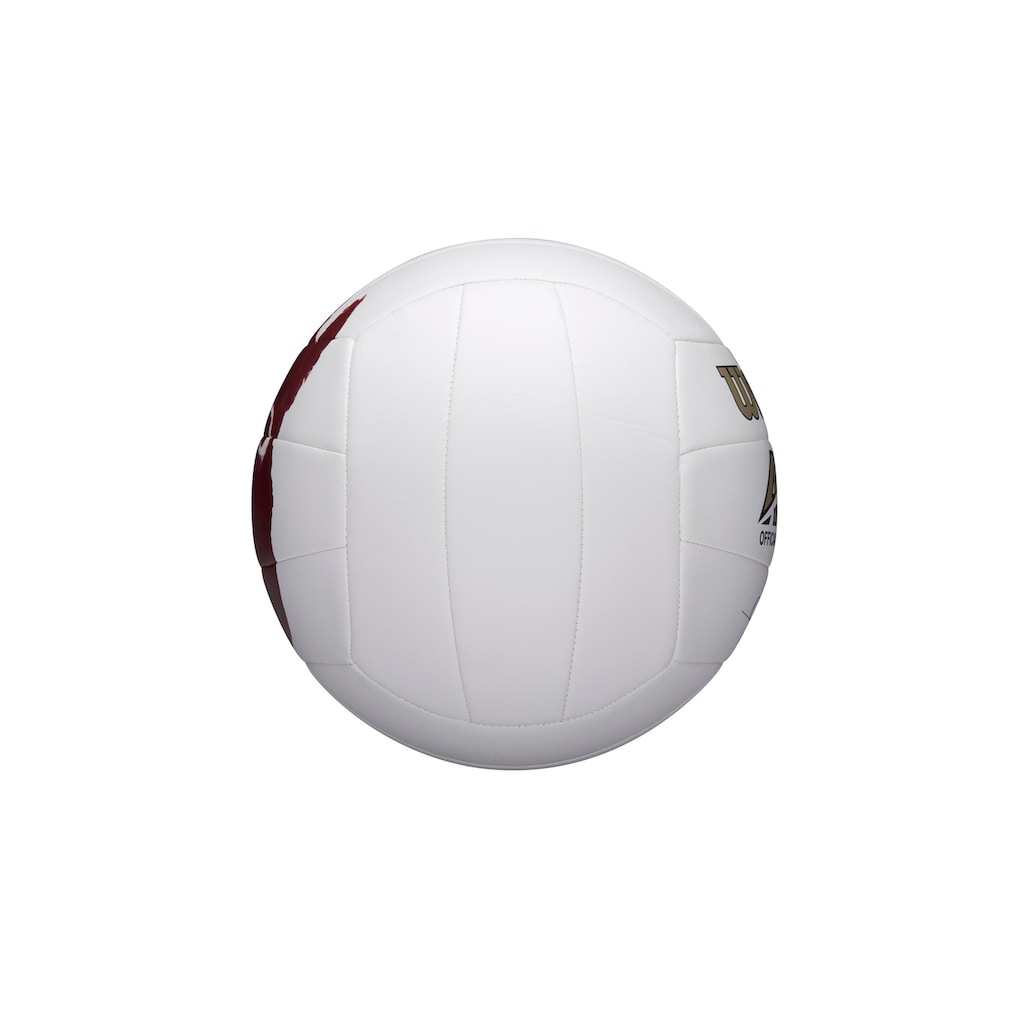 Wilson Volleyball »Cast Away«