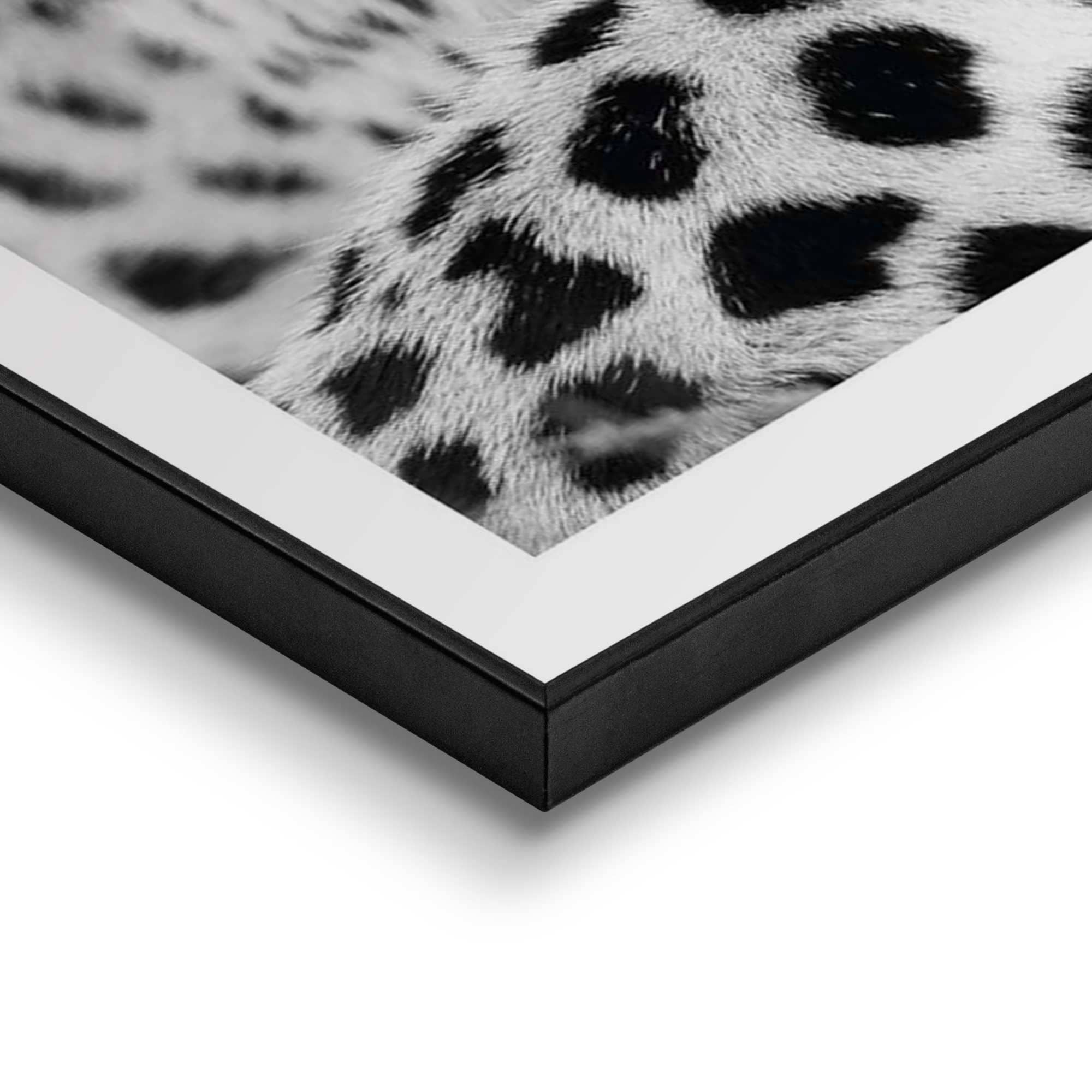 Kunstdruck Jelmoli-Versand »Leopard« shoppen Reinders! | online