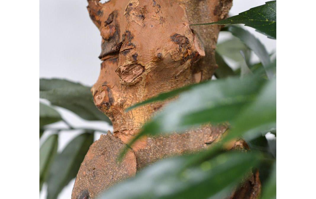 Botanic-Haus Kunstbaum »Bonsai«