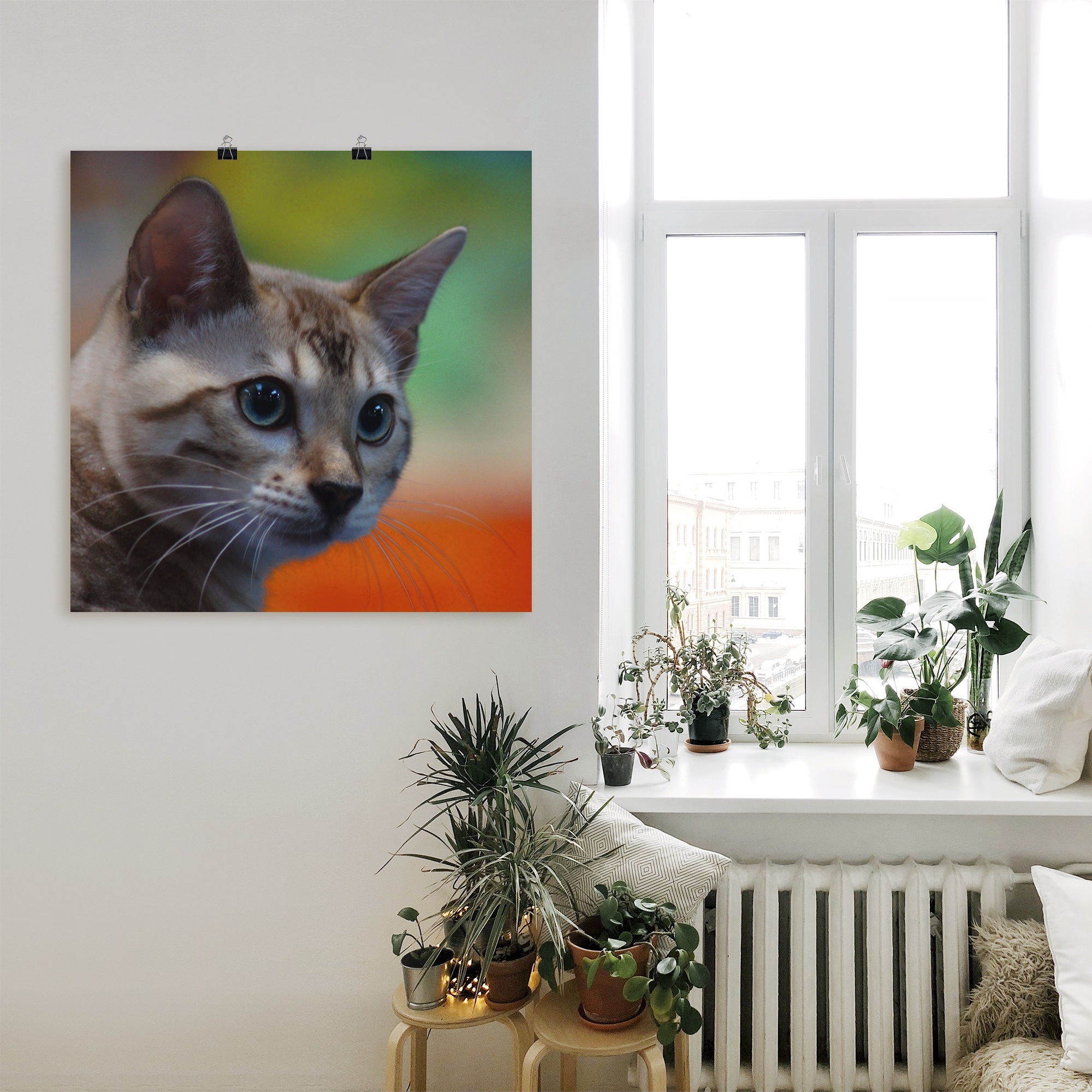 Artland Wandbild »Weisse Bengalkatze«, Haustiere, (1 St.), als Alubild, Leinwandbild, Wandaufkleber oder Poster in versch. Grössen