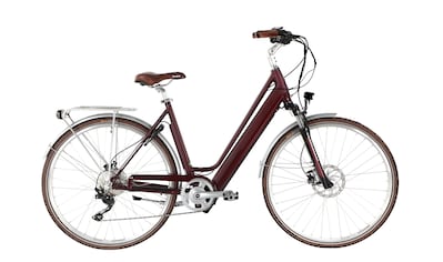E-Bike »City ACIL°03«, Heckmotor 250 W