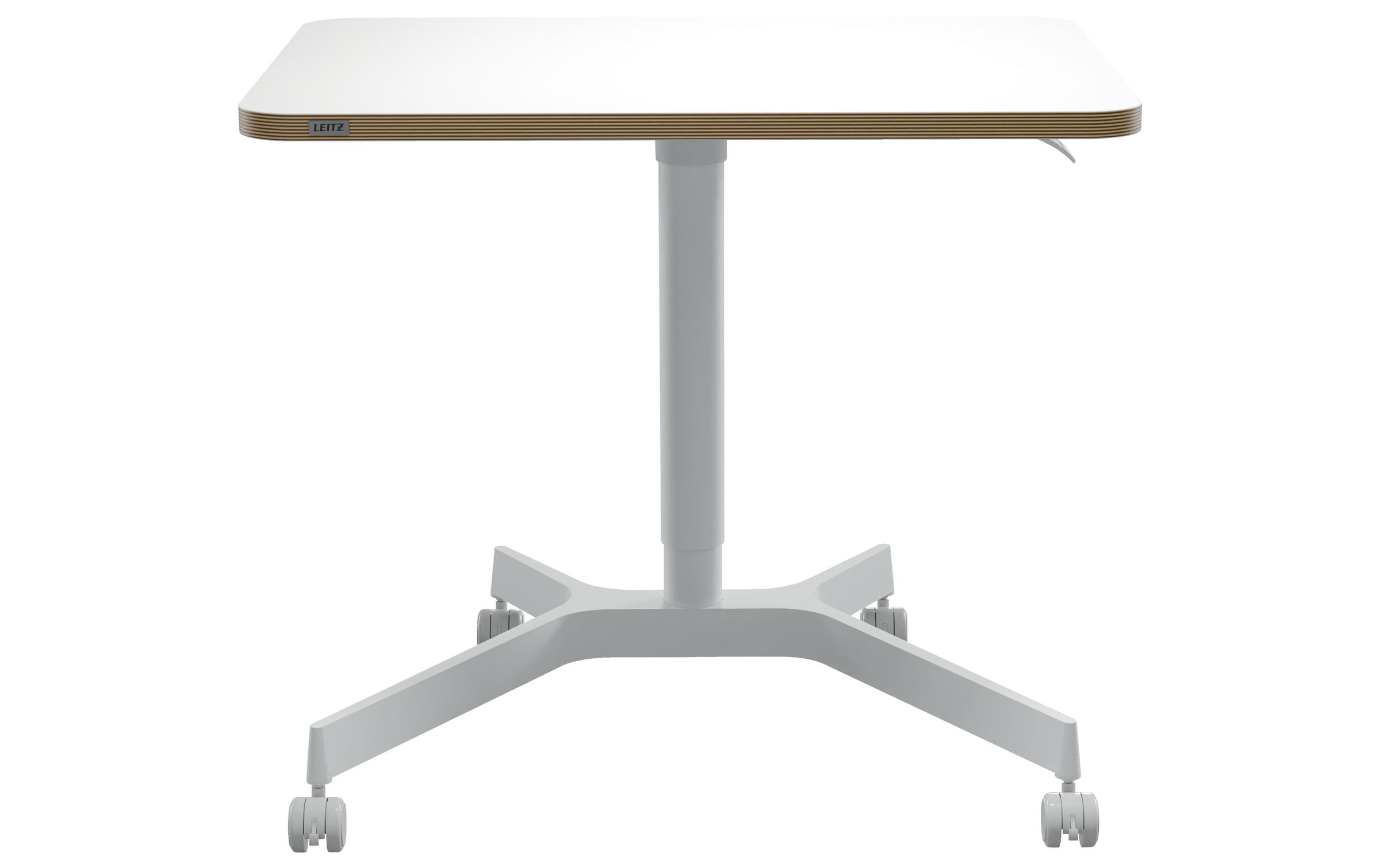 LEITZ Schreibtisch