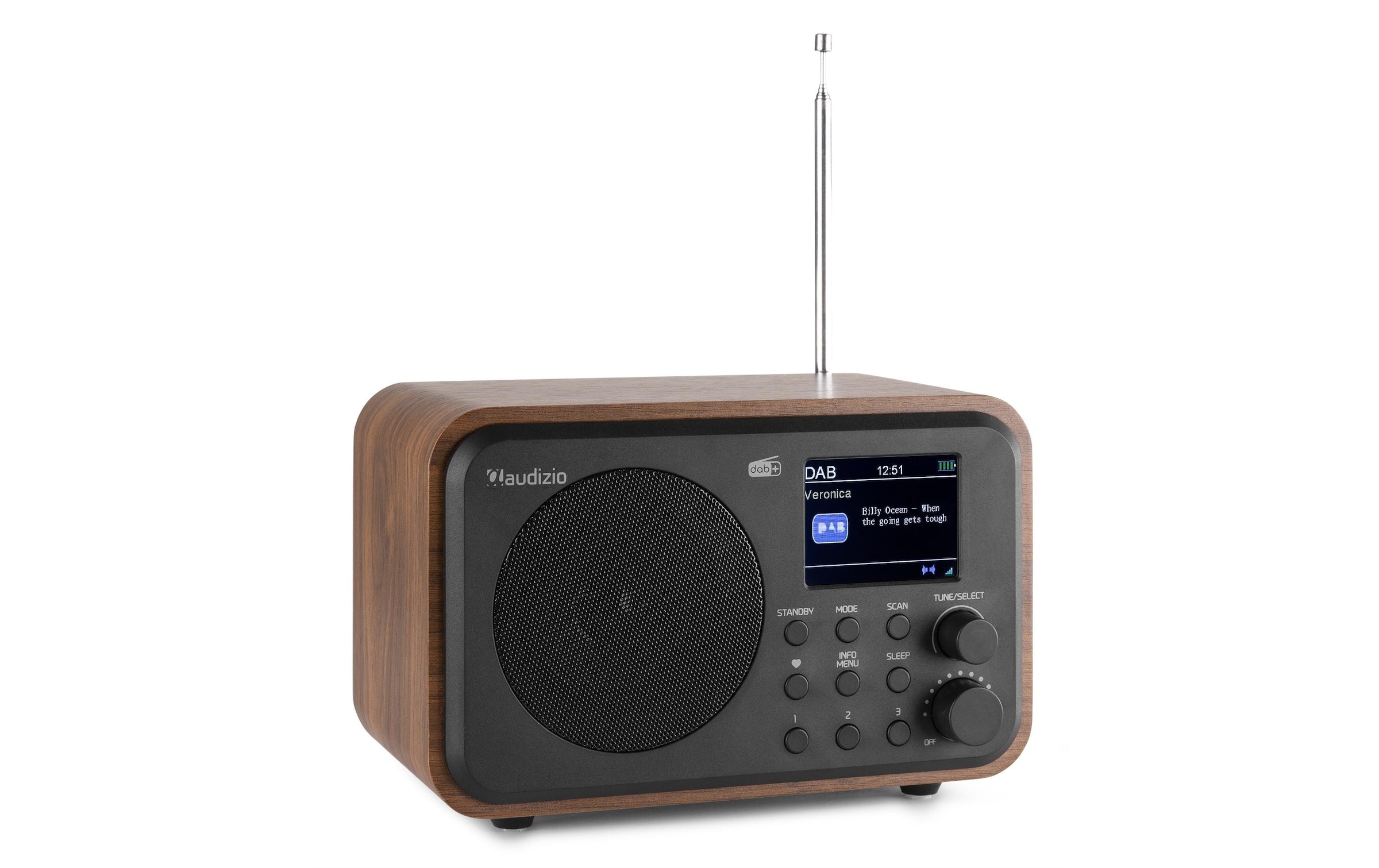 Digitalradio (DAB+) »Audizio Milan«, (FM-Tuner-Digitalradio (DAB+) 30 W)