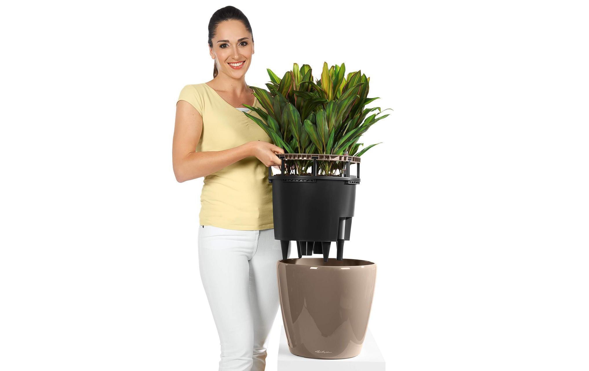 Blumentopf »Lechuza Pflanzentopf Classico Premi«, Material: Polycarbonat, Polypropylen