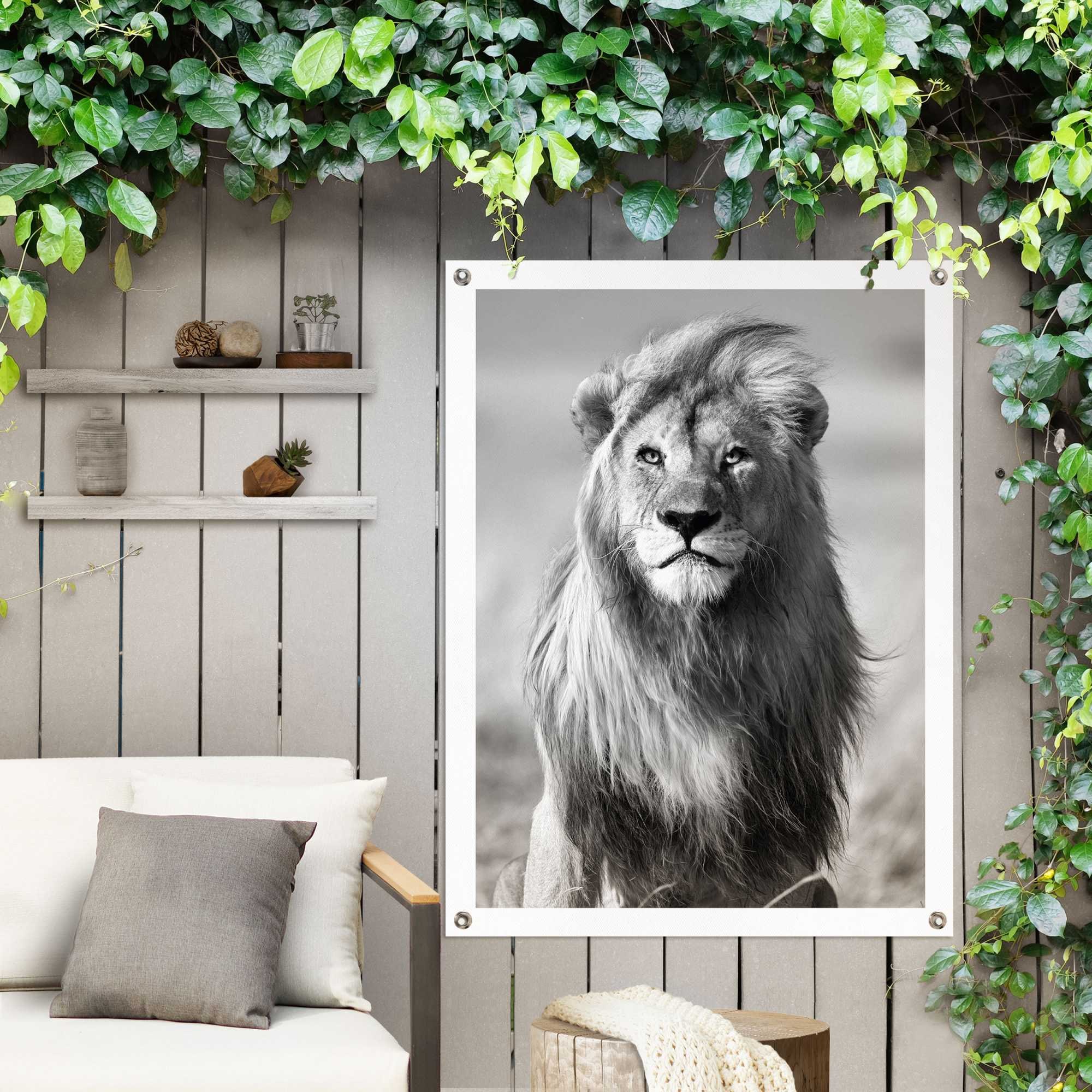 »Löwe«, oder Reinders! Poster für Jelmoli-Versand Garten Outdoor Balkon kaufen online |
