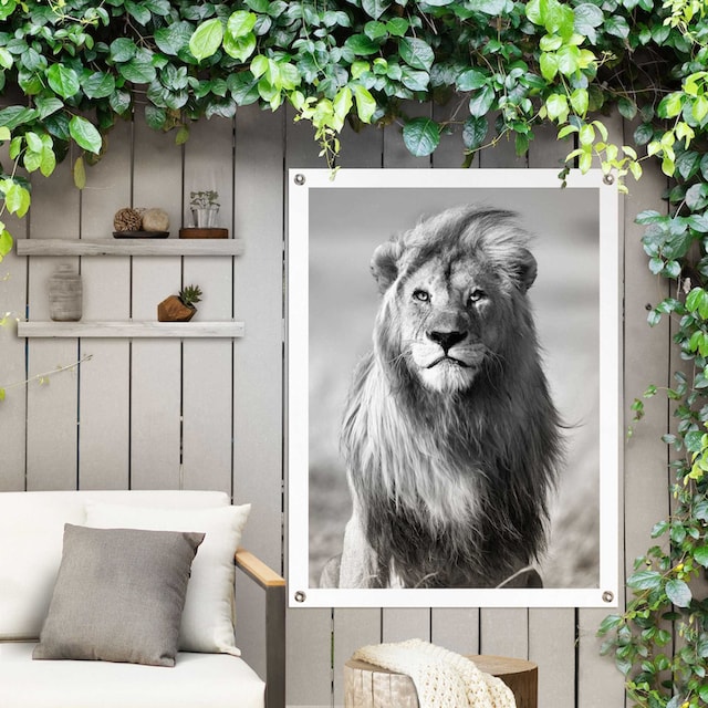 Reinders! Poster »Löwe«, Outdoor für Garten oder Balkon online kaufen |  Jelmoli-Versand