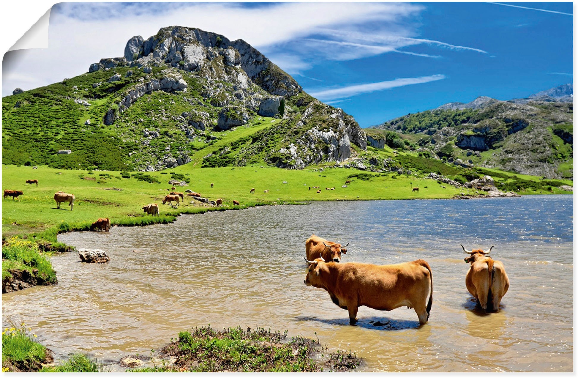 Artland Wandbild »Bergwelt in Asturien kaufen Jelmoli-Versand Berge See«, Kühe online - oder Alubild, Alpenbilder, St.), in Leinwandbild, | & versch. Grössen (1 im Wandaufkleber Poster als