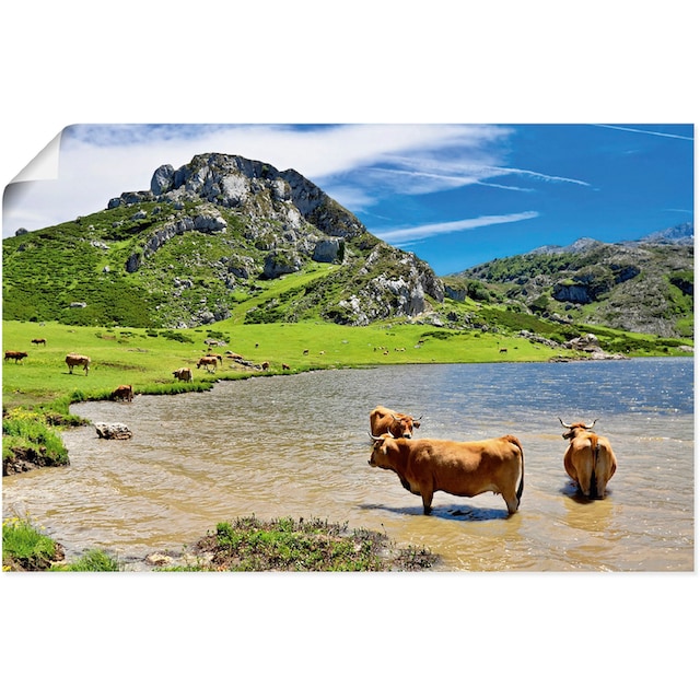 Artland Wandbild »Bergwelt in Asturien - Kühe im See«, Berge & Alpenbilder,  (1 St.), als Alubild, Leinwandbild, Wandaufkleber oder Poster in versch.  Grössen online kaufen | Jelmoli-Versand