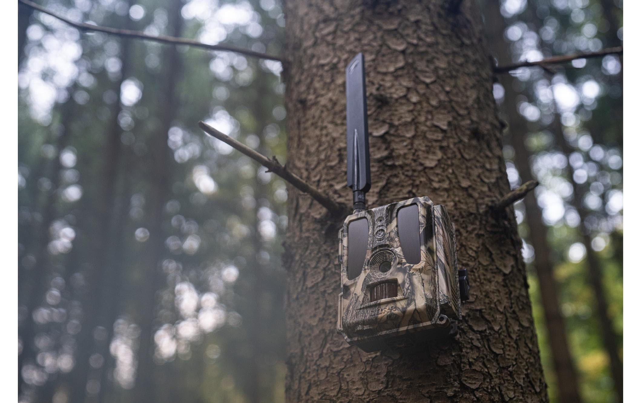 Wildkamera »Dörr Wildkamera SnapShot Cloud Pro 4G WA«, Aussenbereich