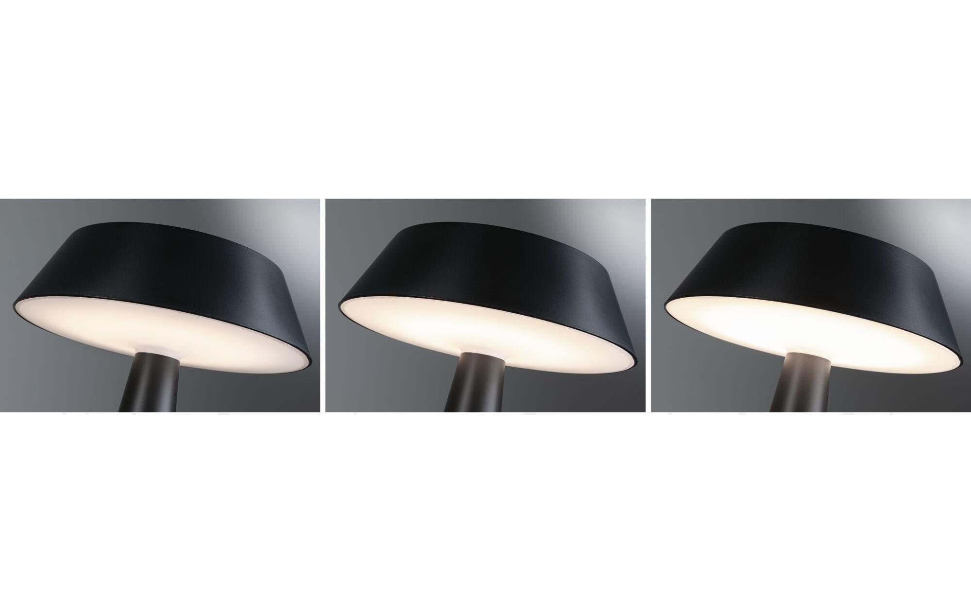 Paulmann Tischleuchte »Solar LED Soala«