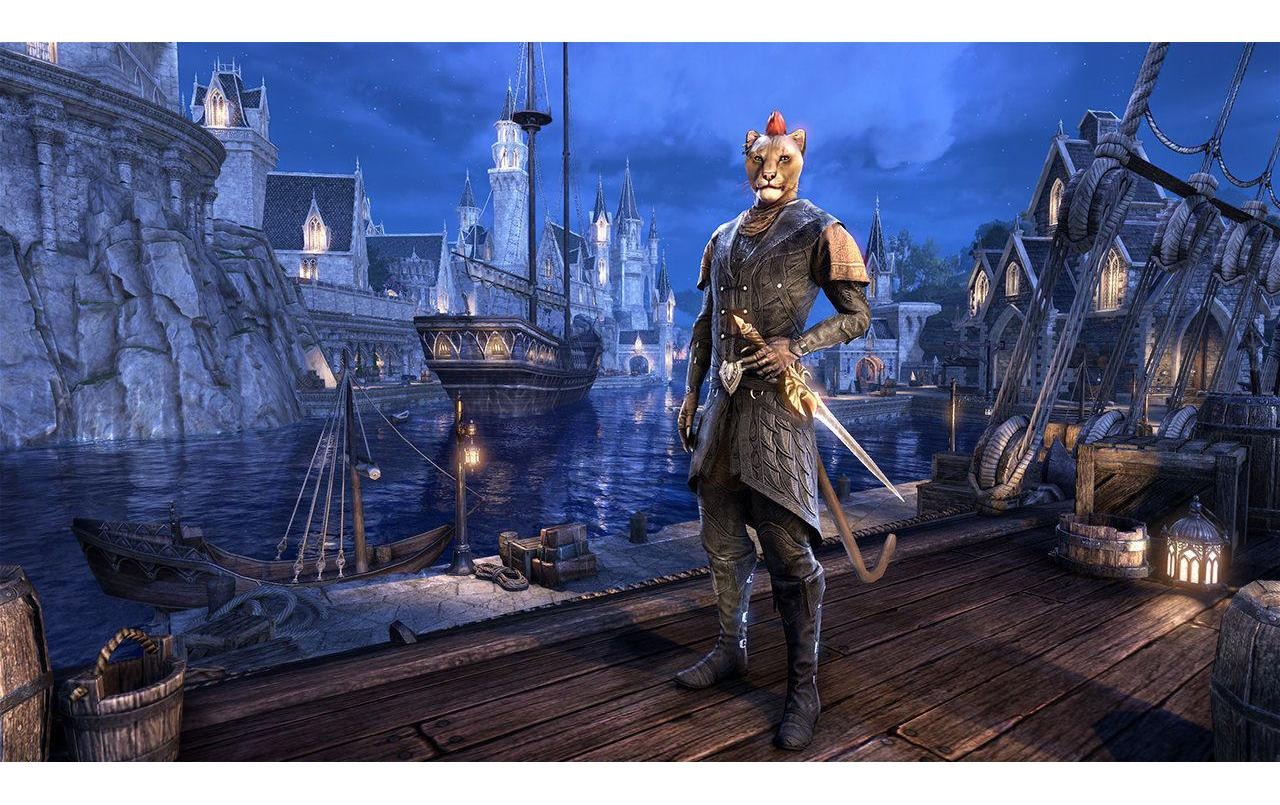 Spielesoftware »The Elder Scrolls: Online Summerset«, PlayStation 4, Standard Edition