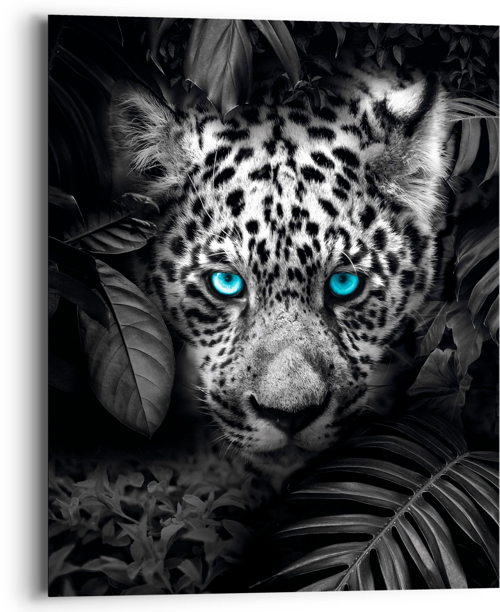 ❤ Reinders! Holzbild »Blue Eyed Leopard«, (1 St.) ordern im Jelmoli-Online  Shop