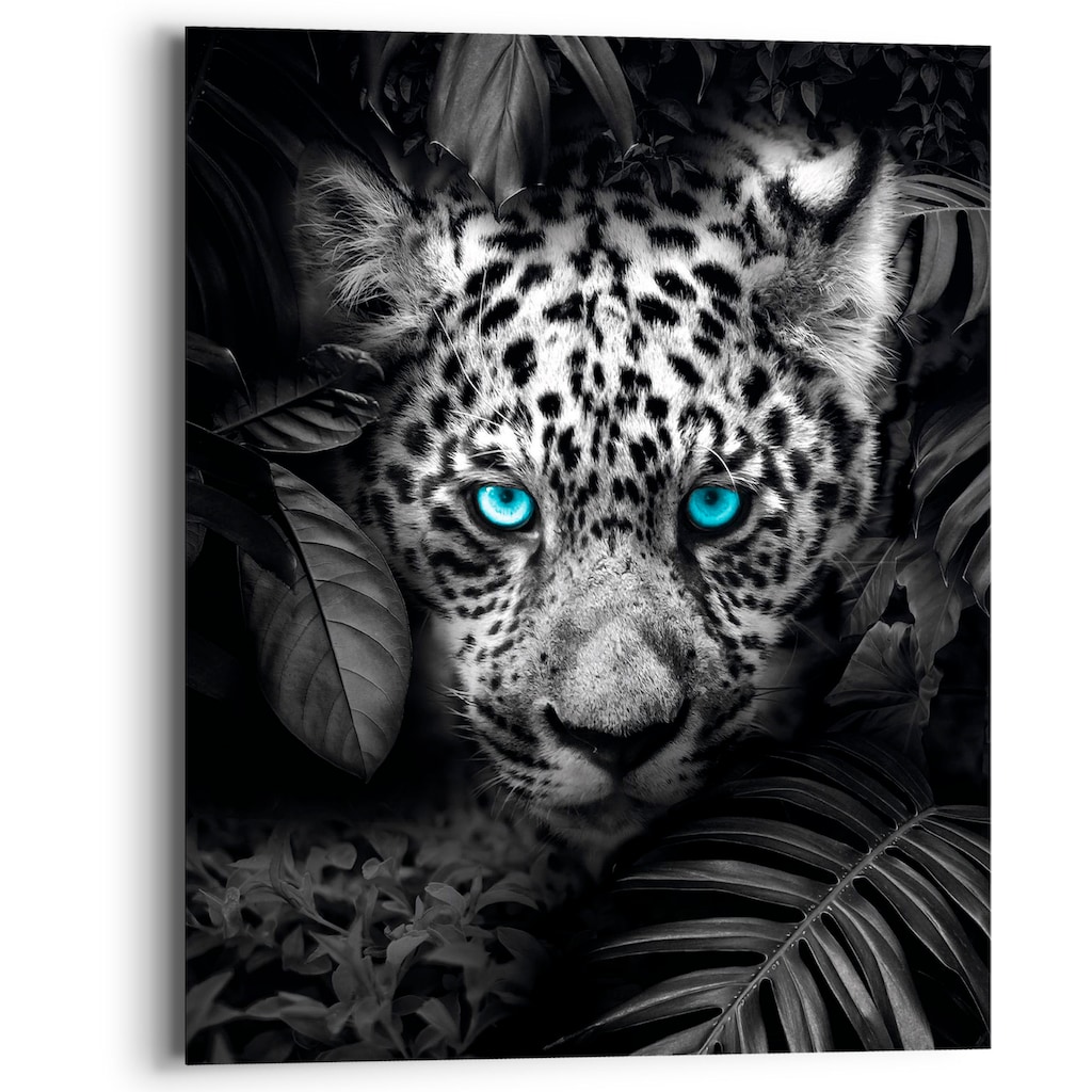 Reinders! Holzbild »Blue Eyed Leopard«, (1 St.)