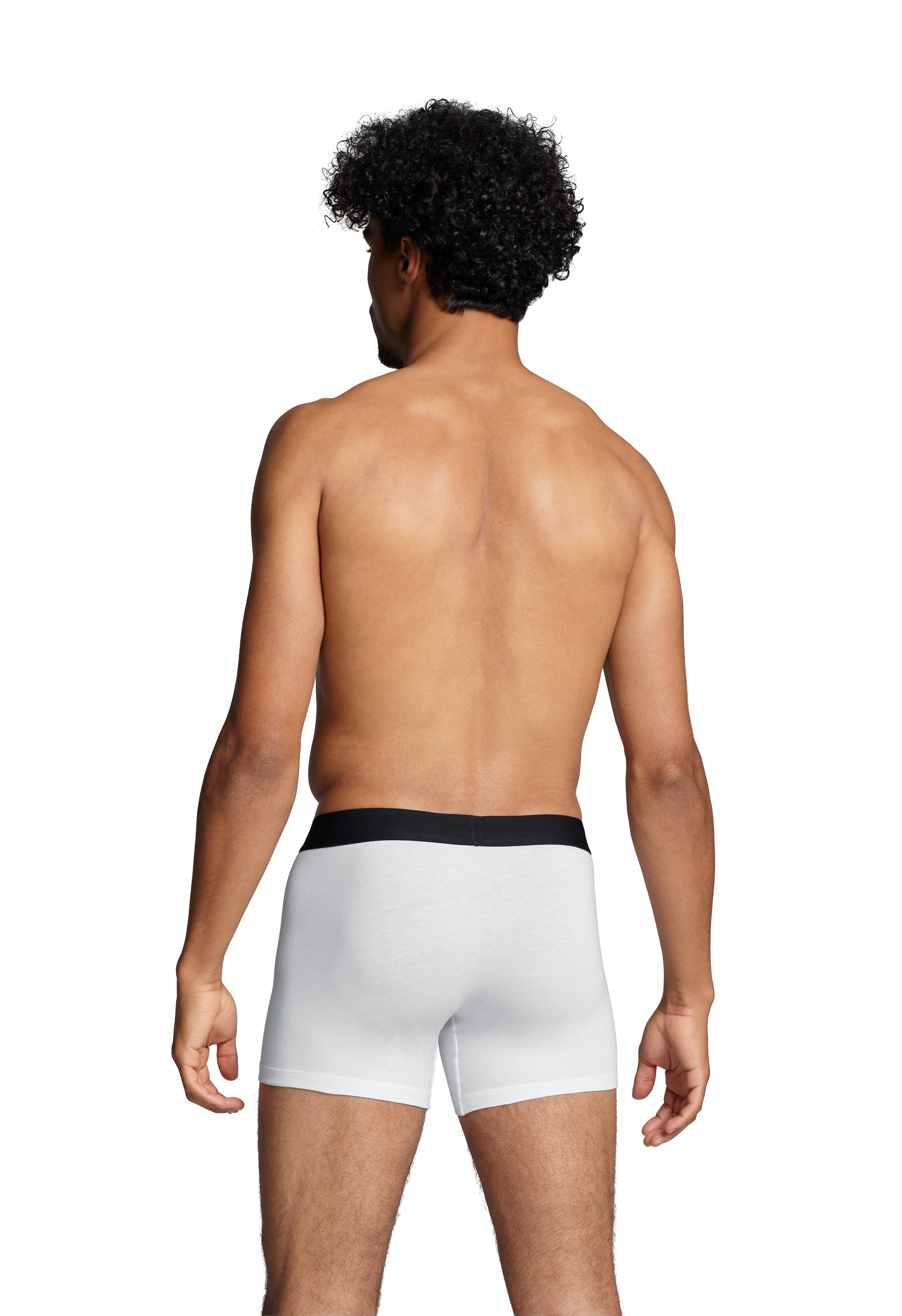 Levi's® Boxershorts »LEVIS MEN SLD BASC BOXER BRIEF ORG CO 2P«, (Packung, 2er Pack), mit breitem Logobund