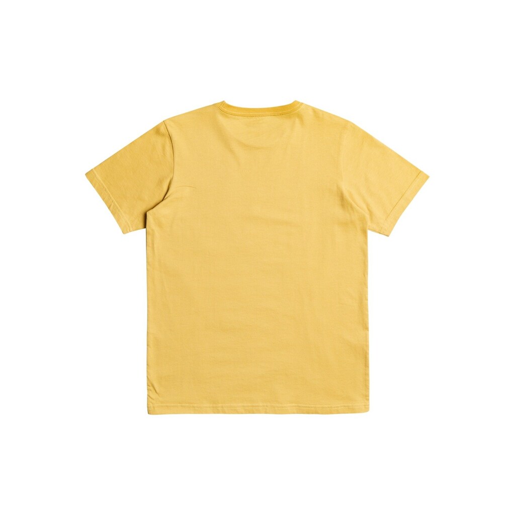 Quiksilver T-Shirt »Like Goldfarben«