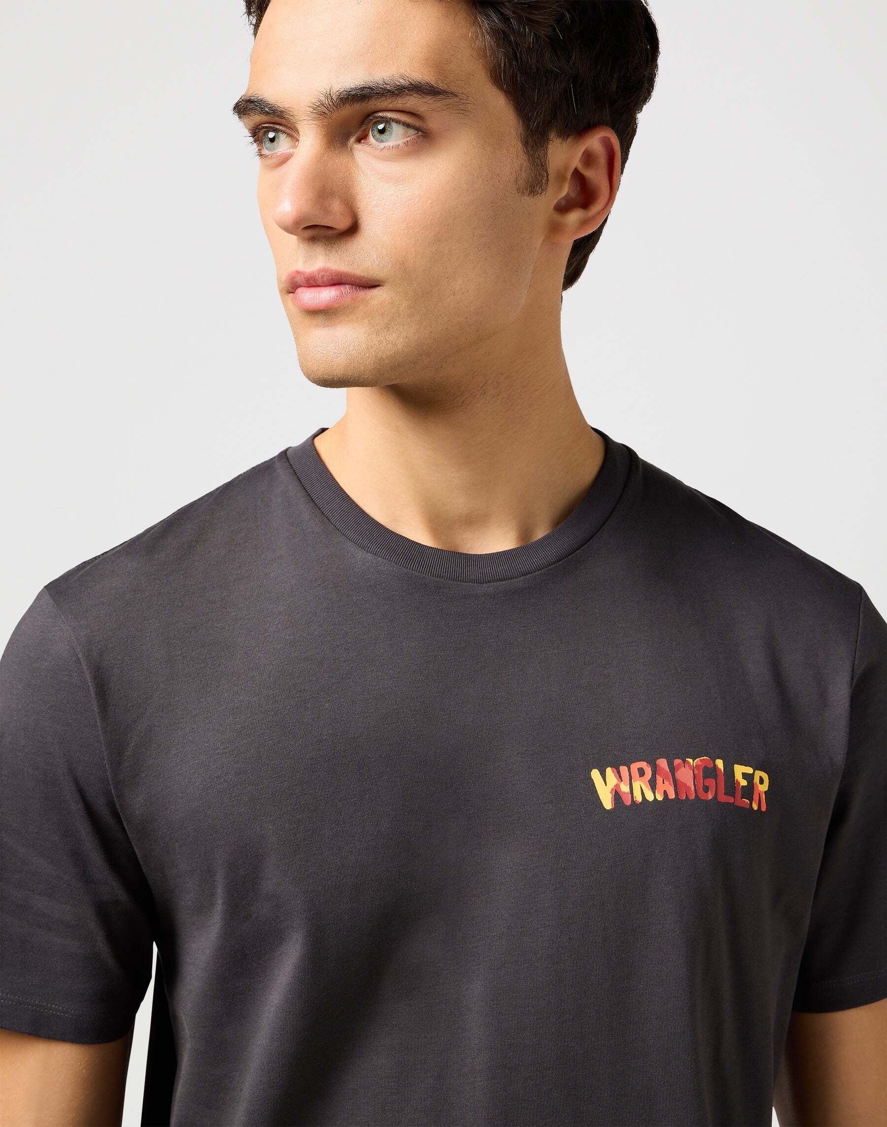 Wrangler T-Shirt »Wrangler T-Shirt Big Graphic Tee«