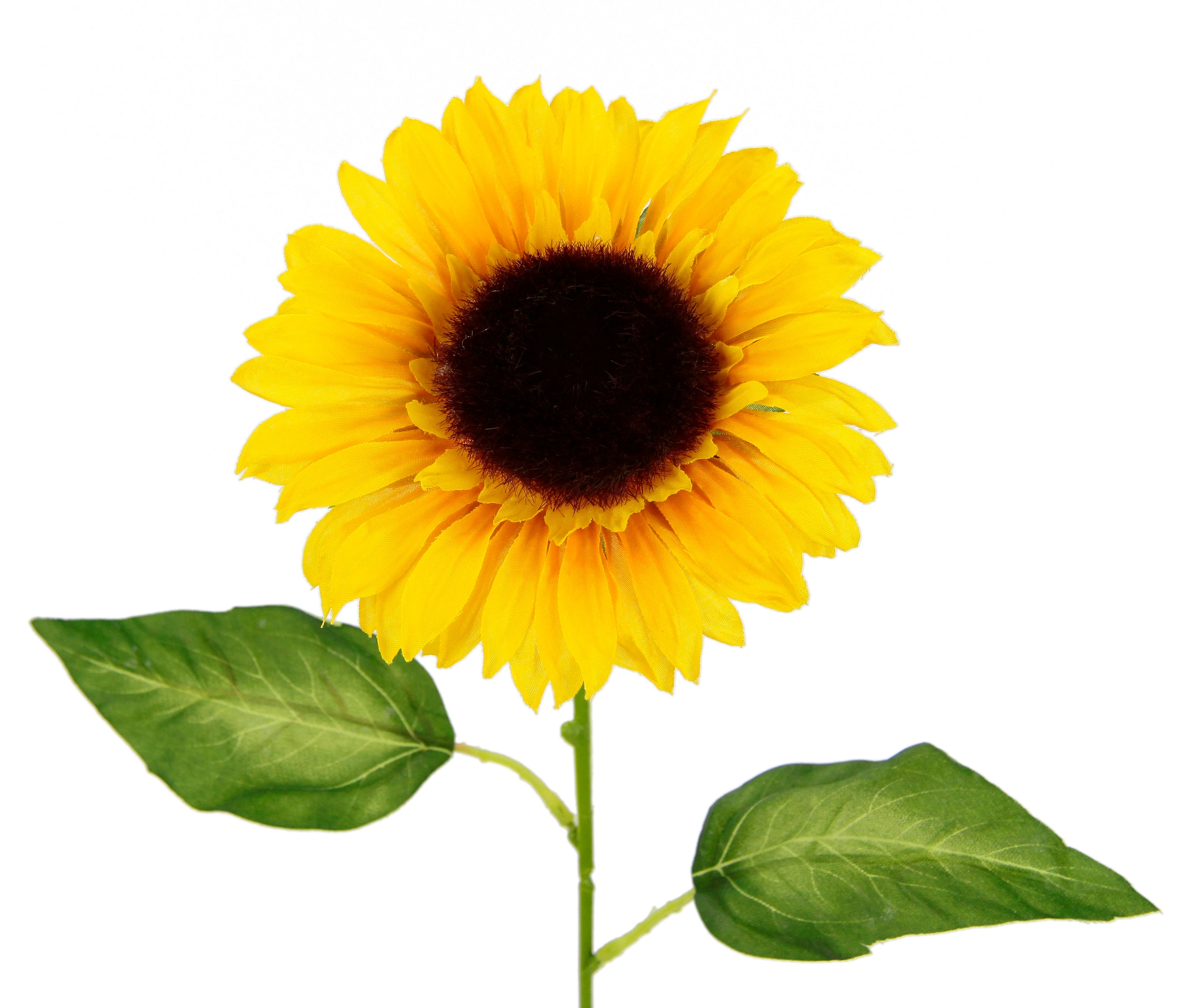 Stielblume, Jelmoli-Versand Set Kunstblume 5er online I.GE.A. bestellen »Sonnenblume«, Einzelblume, |