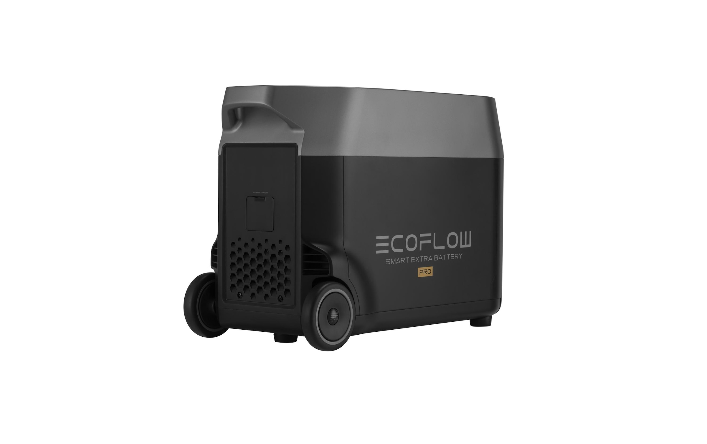 Ecoflow Batterie »Delta Pro 3600 Wh«, 44,4 V, (1 St.)