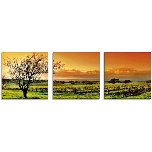 Artland Glasbild »Landschaft mit Weinbergen«, Felder, (1 St.), in  verschiedenen Grössen online bestellen | Jelmoli-Versand