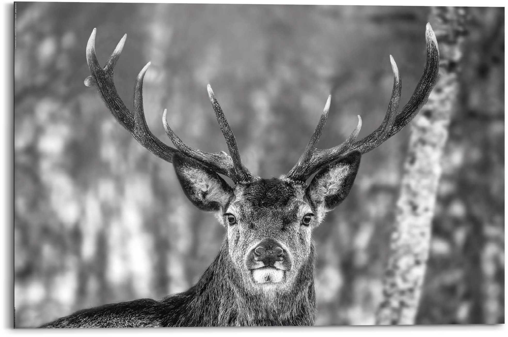 60x90 kaufen Deer« Winter ❤ »Deco Holzbild Shop im Jelmoli-Online Panel Reinders!