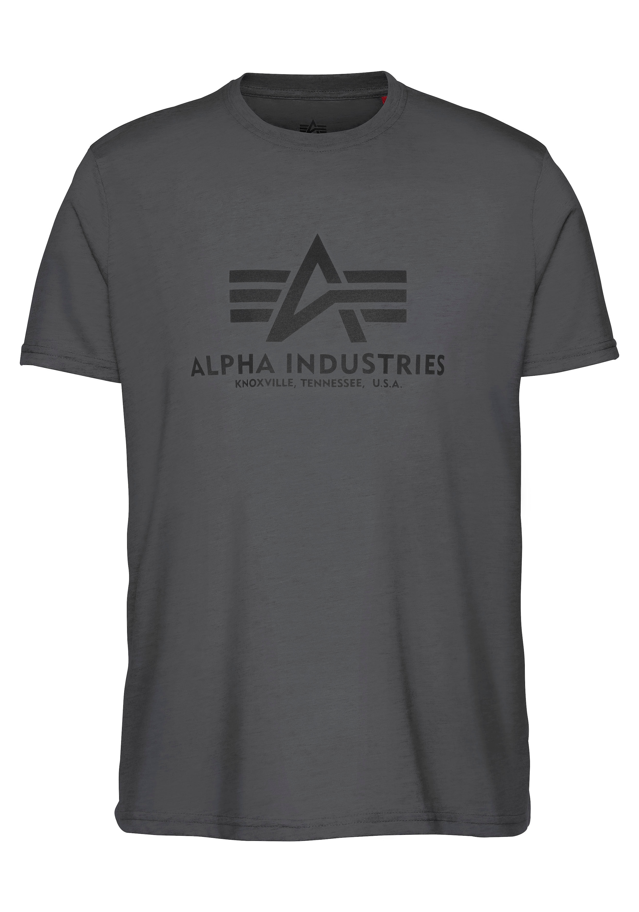 Alpha Industries T-Shirt »Basic T-Shirt«