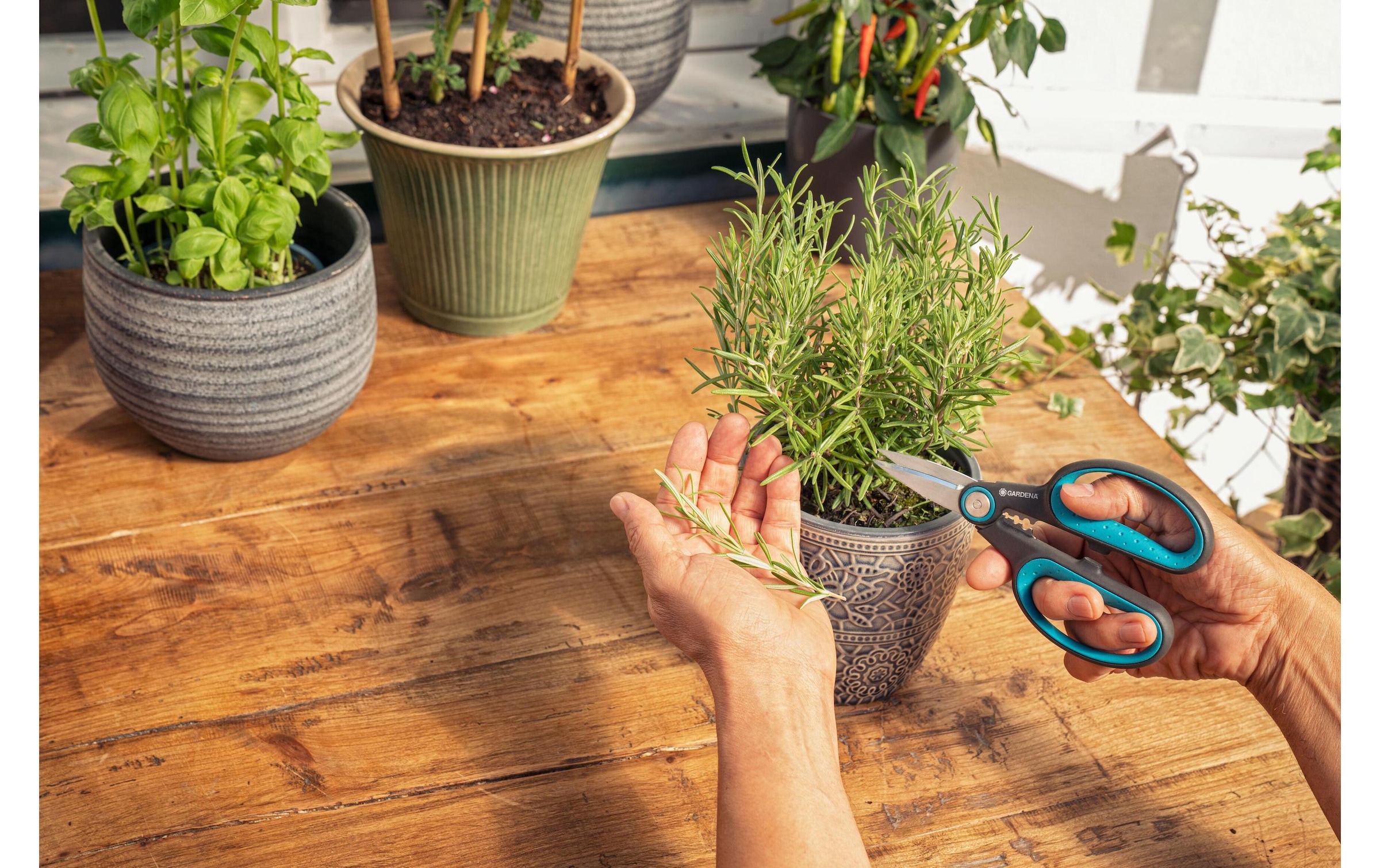 GARDENA Gartenschere »HerbCut«