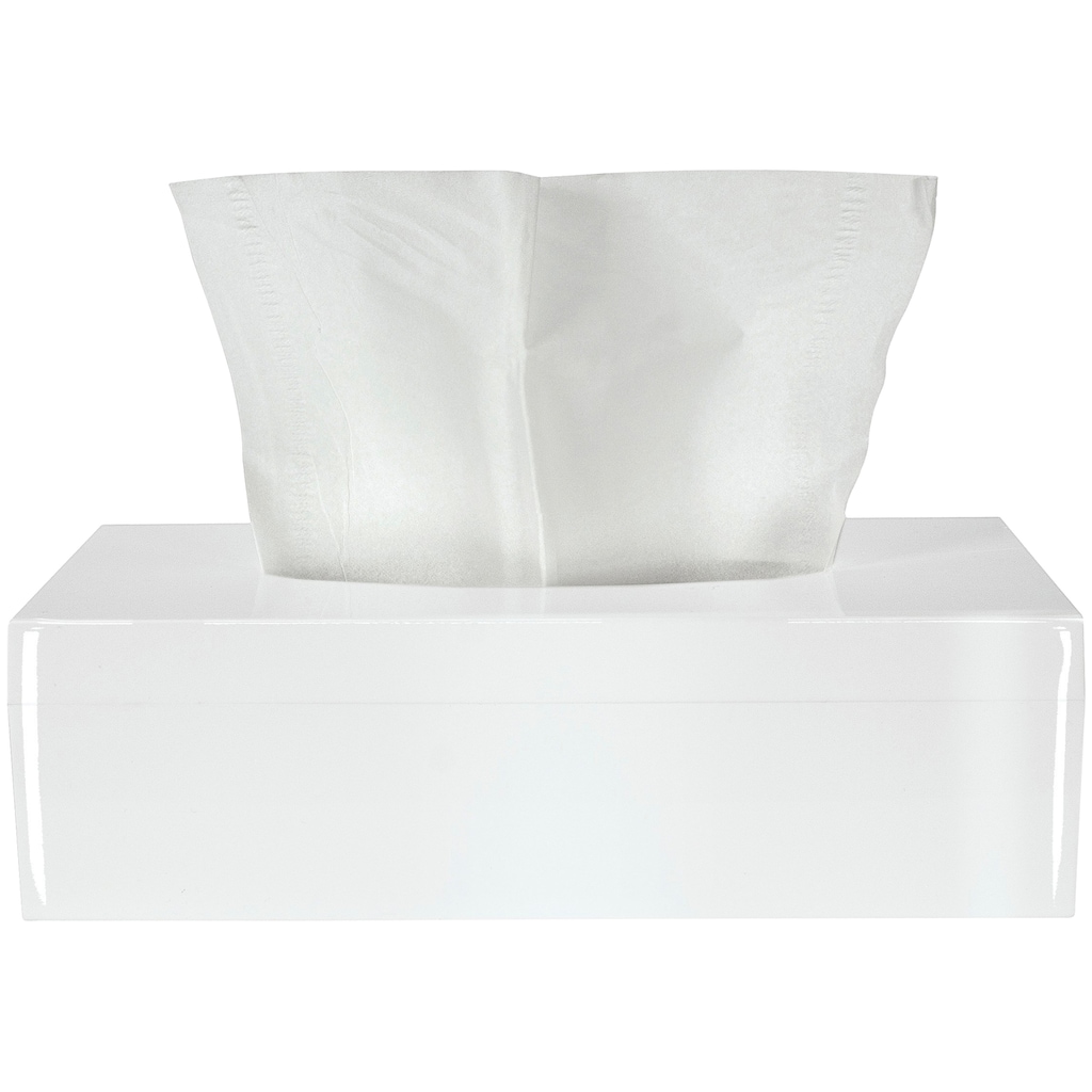 Kleine Wolke Papiertuchbox »Tissue Box«, Ästhetische Taschentuchbox