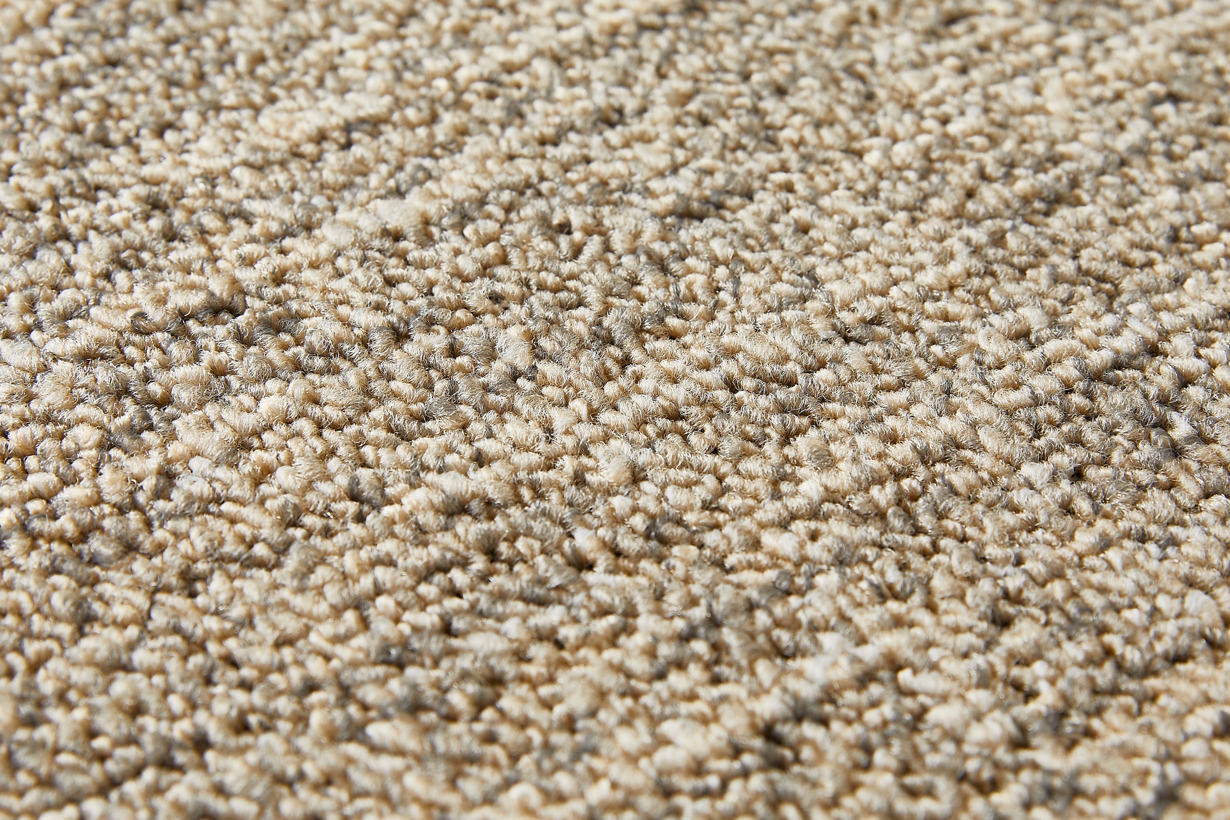 my home Teppichboden »Jamie, melierte Schlinge, Made in Netherlands«, rechteckig, 8 mm Höhe, Breite 400 cm, strapazierfähig, pflegeleicht, allergikerfreundlich
