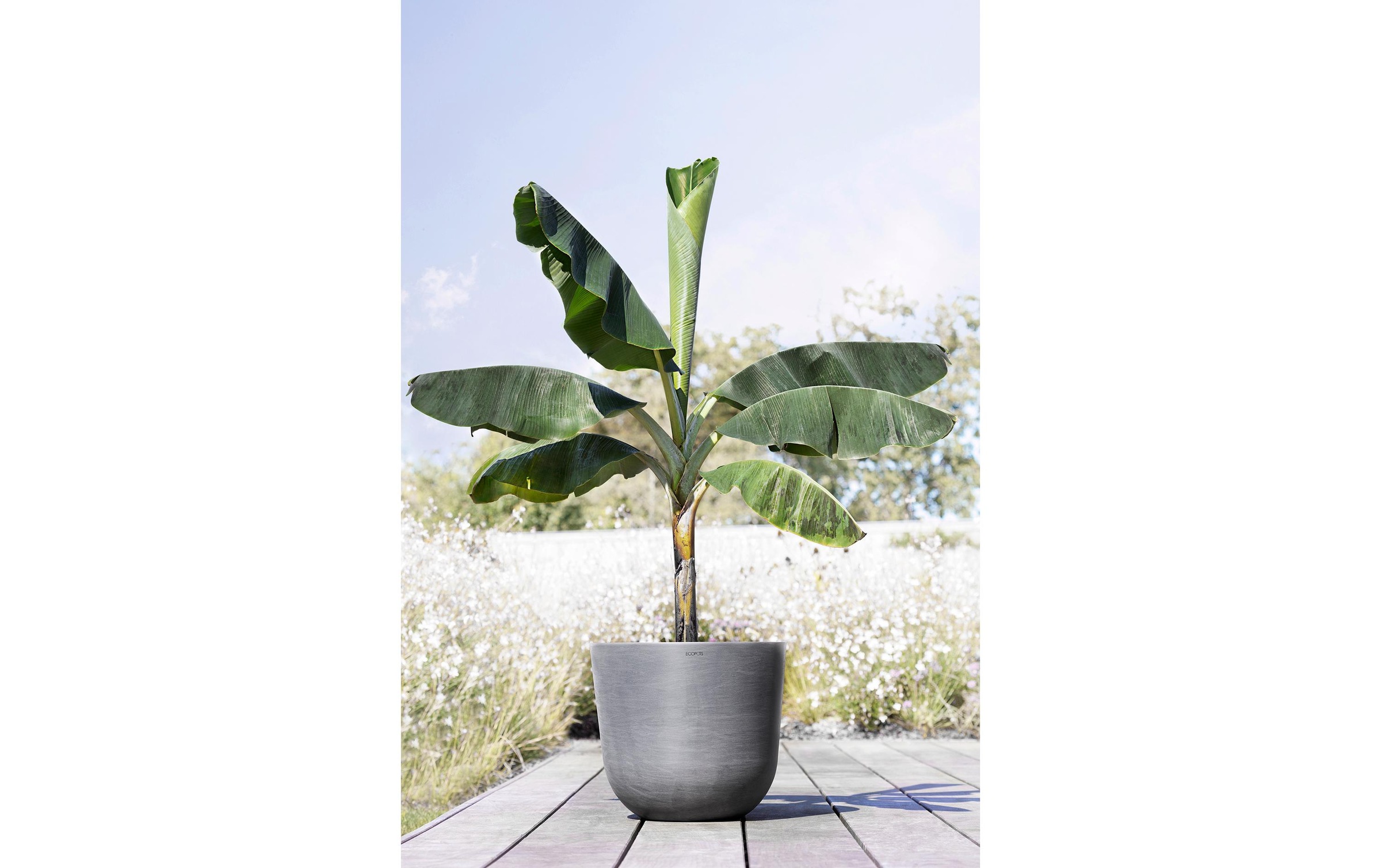ECOPOTS Blumentopf »Oslo 55 Grau«
