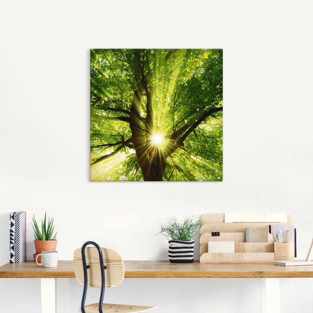 Artland Wandbild »Sonne strahlt explosiv durch den Baum«, Bäume, (1 St.), als Leinwandbild, Poster, Wandaufkleber in verschied. Grössen