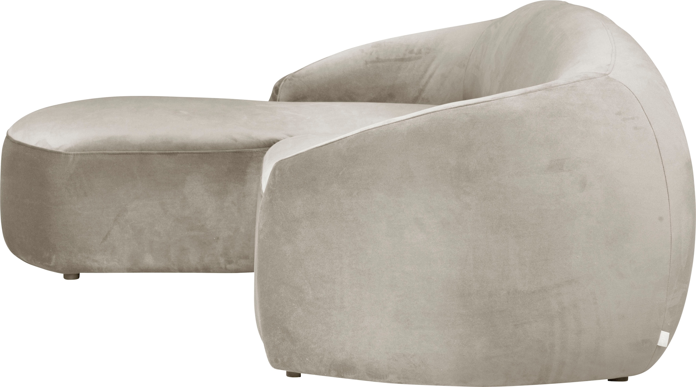 LeGer Home by Lena Gercke Ecksofa »L-Form, Designersofa, organische Form, Masse B/T/H: 255/170/81 cm«, mit Wellenunterfederung, auch in Bouclé, Recamiere rechts/links