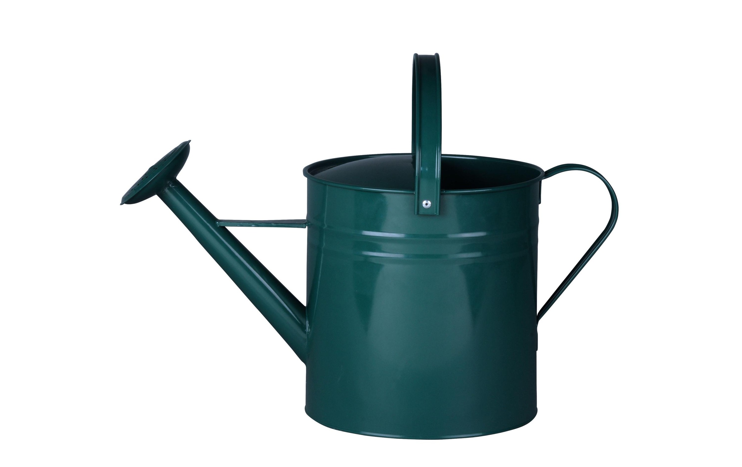 Herstera Garden Giesskanne »2 l Metall Grün« online kaufen Jelmoli