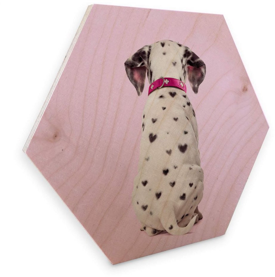 Holzbild »Dalmatiner Holzbild Hunde Bilder«, Tiere, (1 St.), Vintage Holzschild