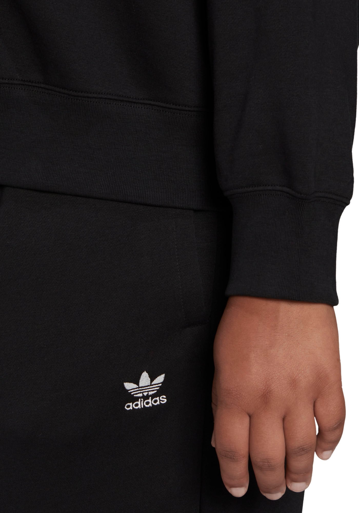 adidas Originals Kapuzensweatshirt »ADICOLOR ESSENTIALS – GROSSE GRÖSSEN«