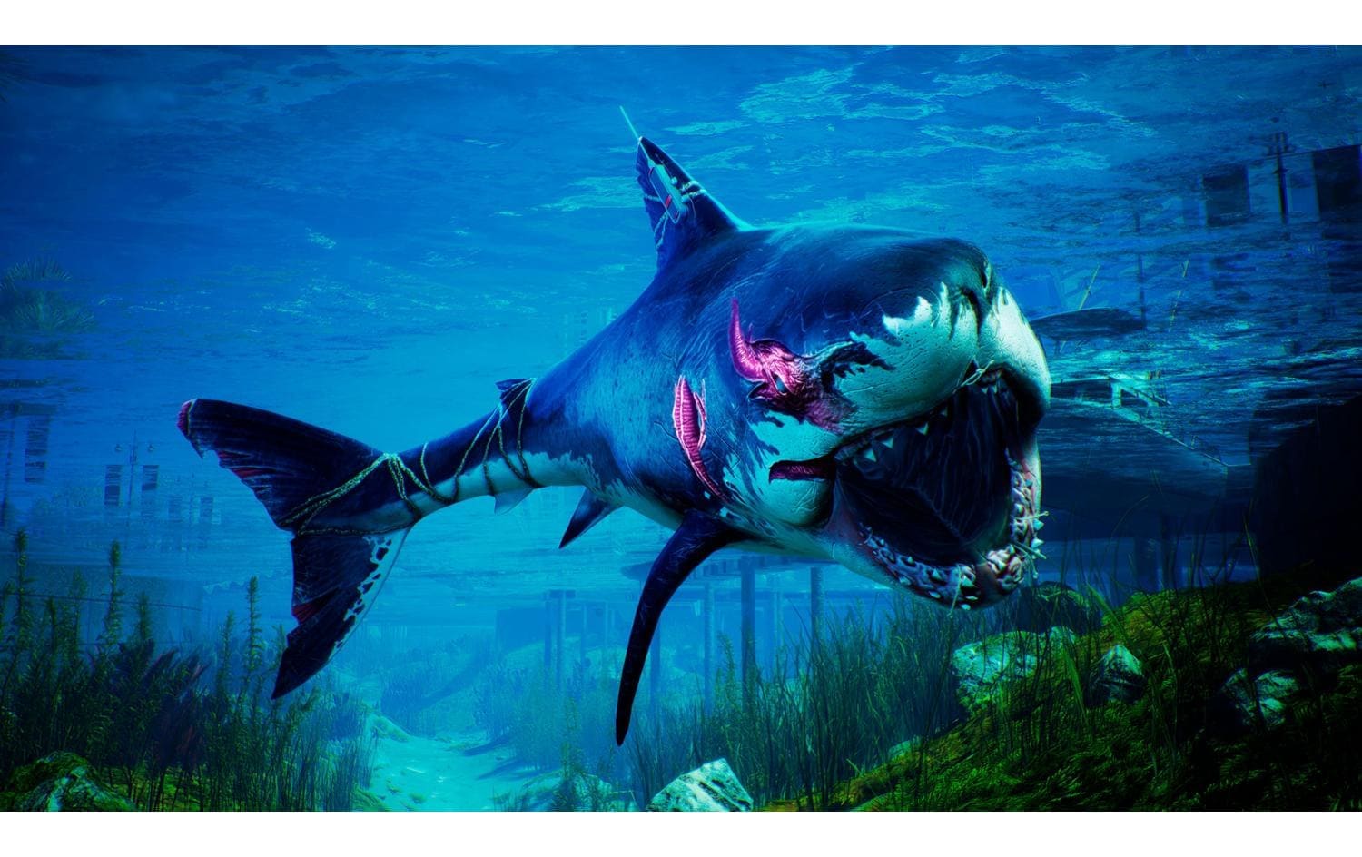 Spielesoftware »GAME Maneater APEX Edition«, PlayStation 4
