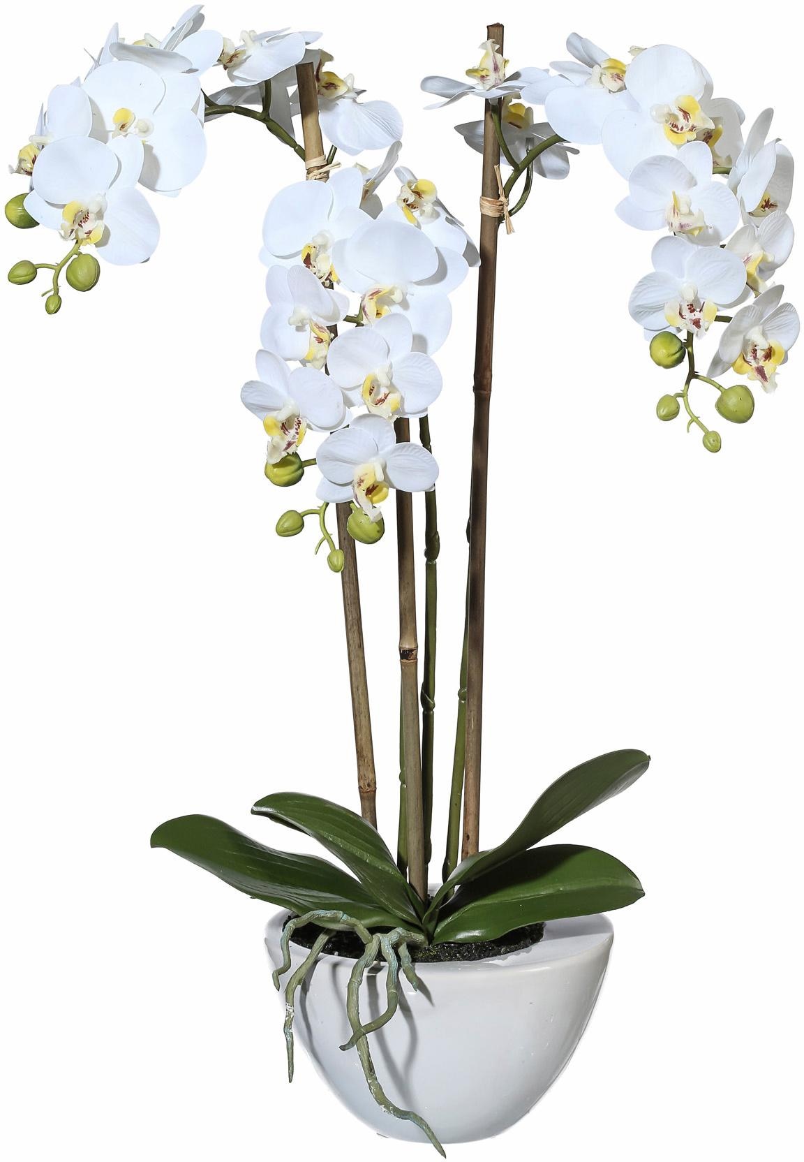 Creativ green Kunstpflanze »Mini Orchidee«