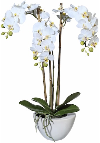 Kunstpflanze »Mini Orchidee«