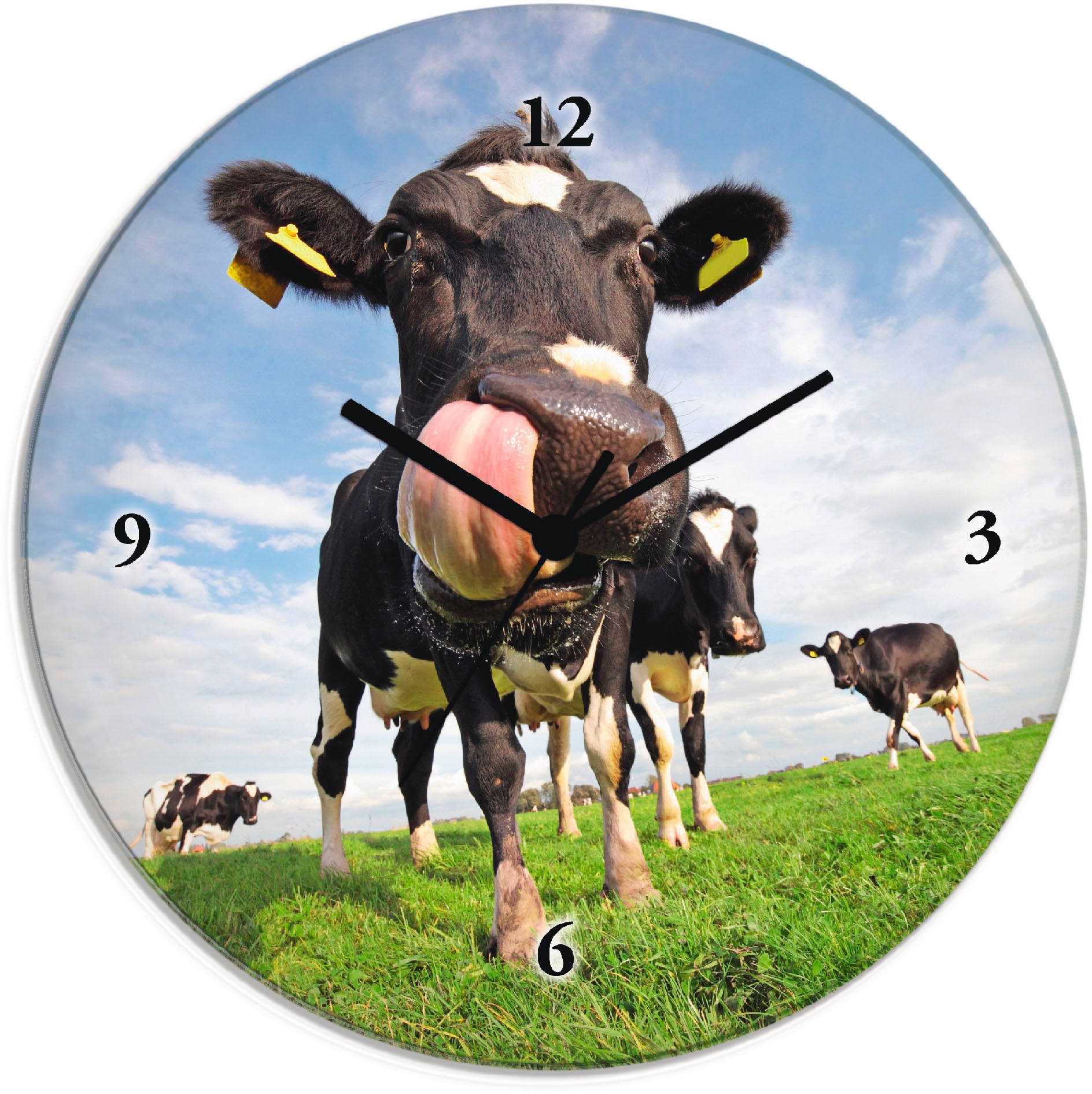 Artland Wanduhr »Holstein-Kuh mit ohne oder wahlweise gewaltiger shoppen Tickgeräusche | mit Quarz- Jelmoli-Versand online Funhuhrwerk, lautlos Zunge«