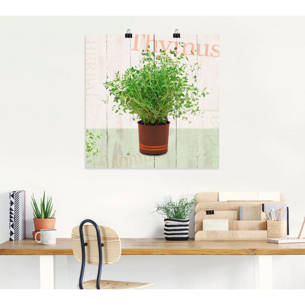 Artland Poster »Thymian«, Pflanzen, (1 St.)