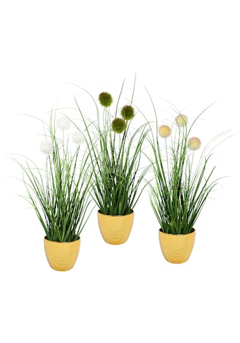 Leonique Kunstgras »Grasbusch mit Kletten«, (Set, 3 St.), Kunstpflanze, Gras, im Topf,... kaufen