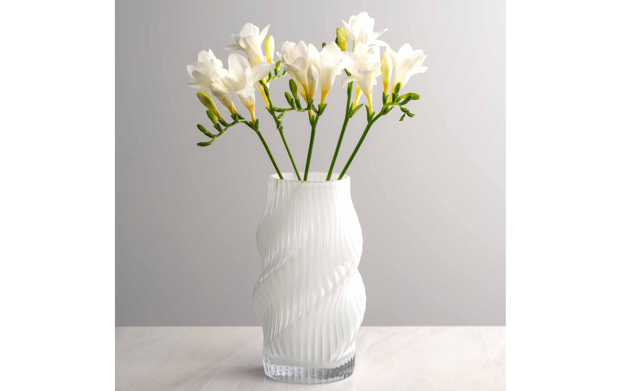 Vase Leonardo Blanc Verre sodocalcique D 10 H 20 cm