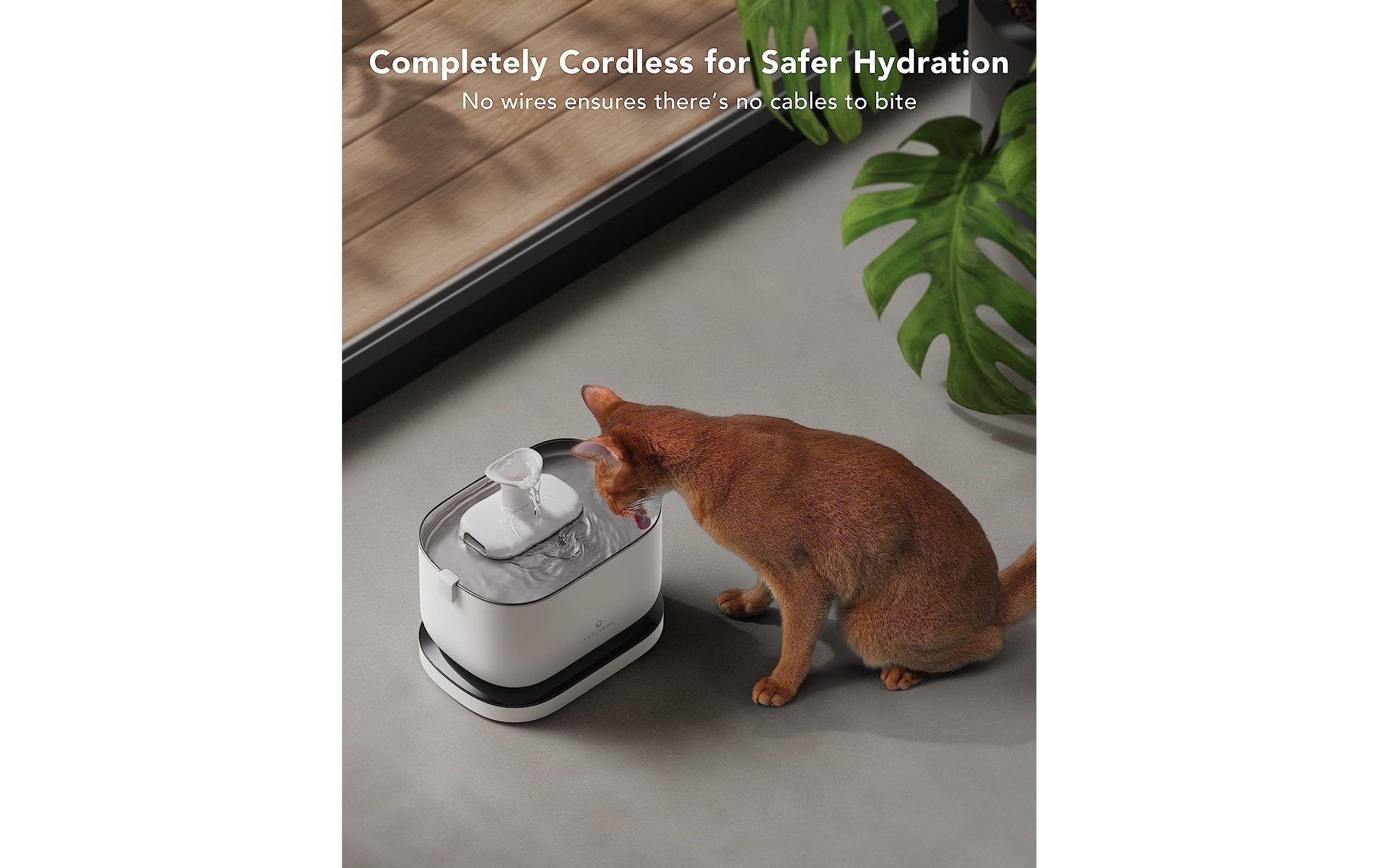Wasserspender »Petlibro Dockstream Battery-Operated Fountain l«