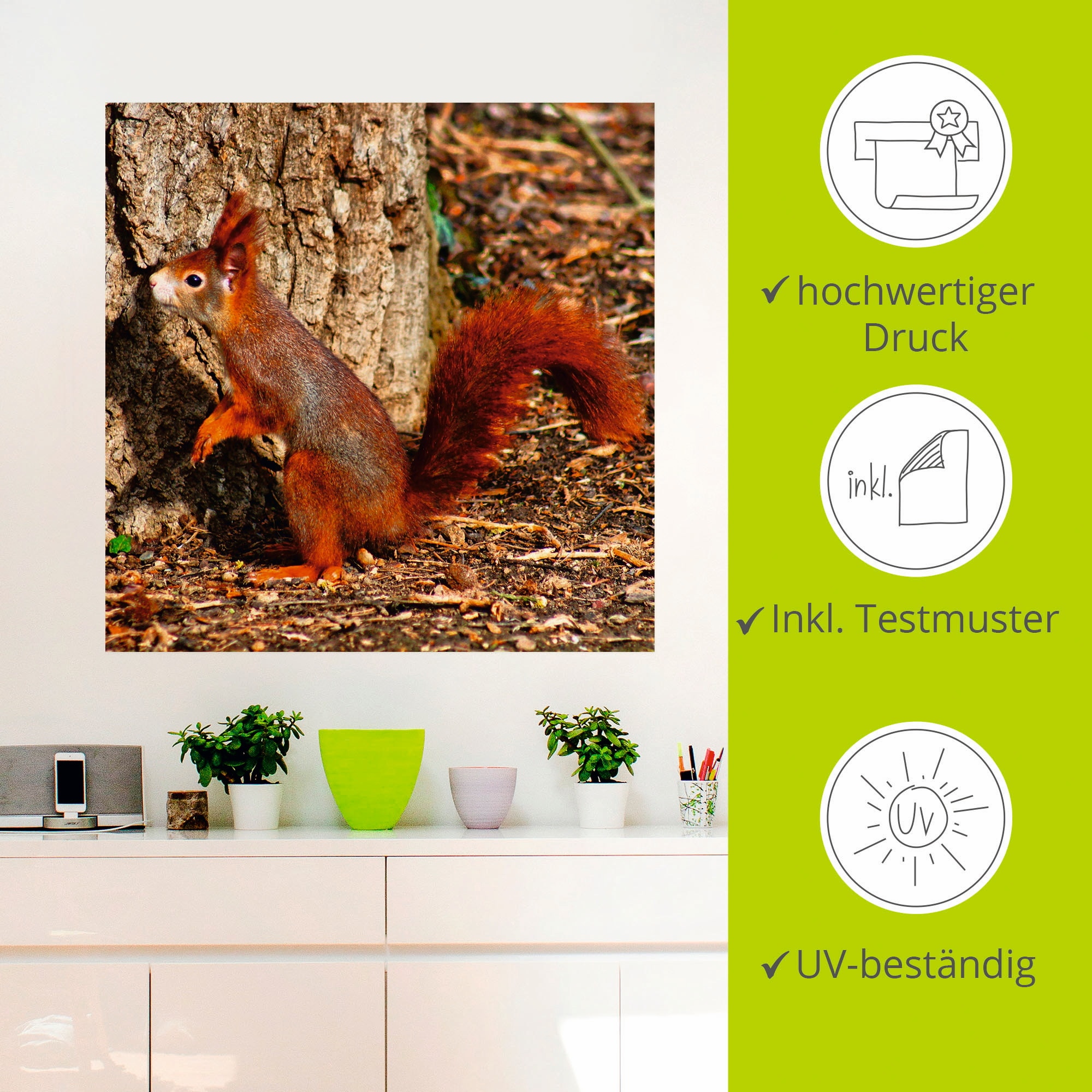 Artland Wandbild »Rotes Eichhörnchen will hoch hinaus«, Wildtiere, (1 St.), als Poster, Wandaufkleber in verschied. Grössen