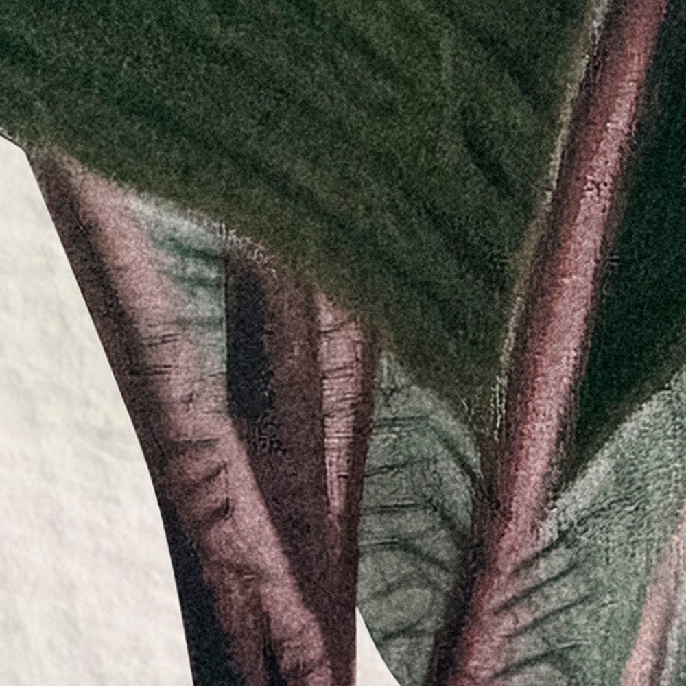 Komar Fototapete »Digitaldruck Vlies - Jungle Spot - Grösse 400 x 250 cm«, bedruckt, Wohnzimmer, Schlafzimmer