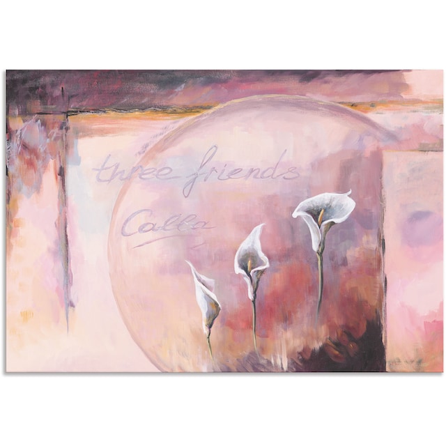 Artland Wandbild »Calla«, Blumenbilder, (1 St.), als Alubild, Leinwandbild,  Wandaufkleber oder Poster in versch. Grössen online kaufen | Jelmoli-Versand