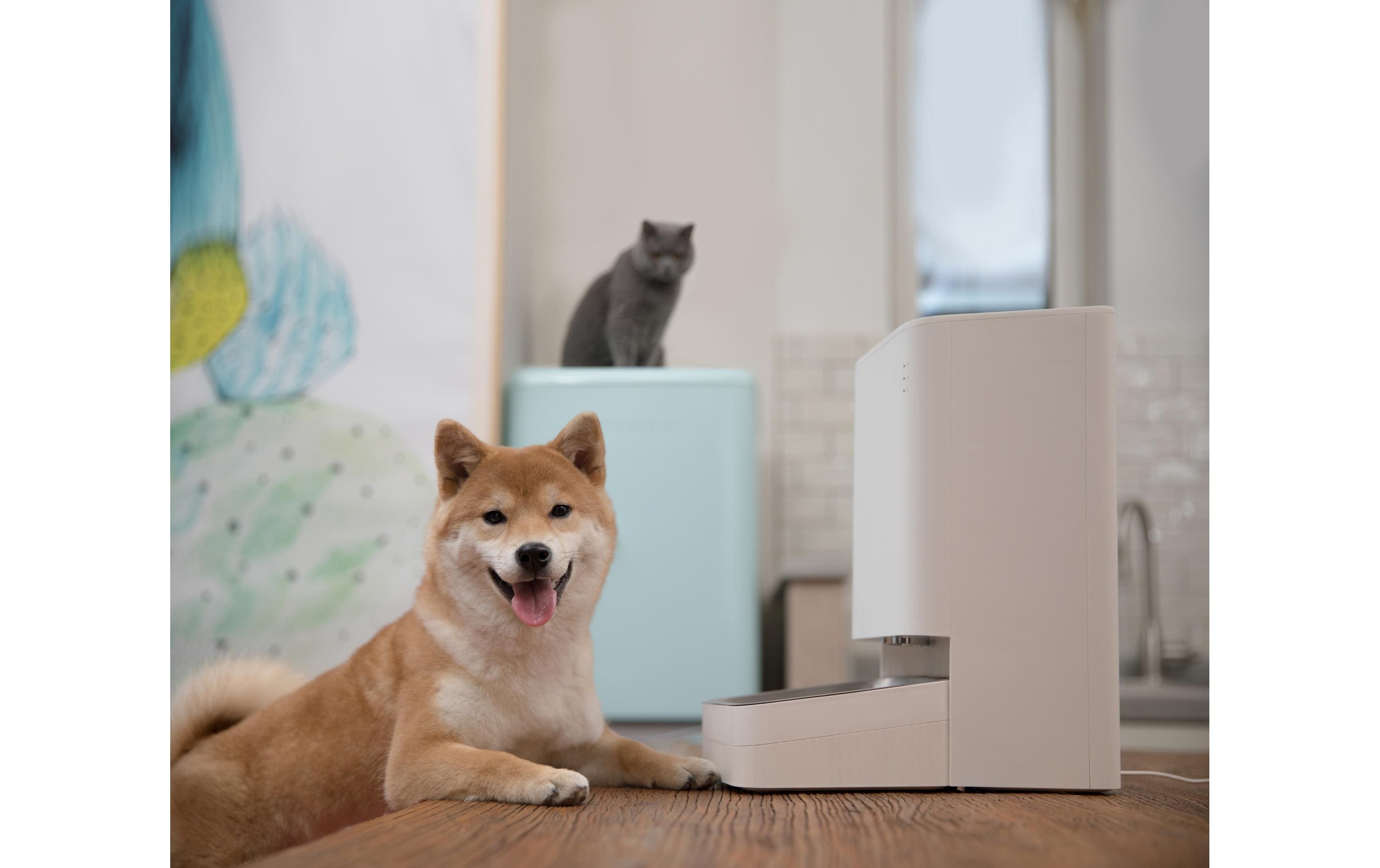 Xiaomi Futterautomat »Pet Food Feeder«