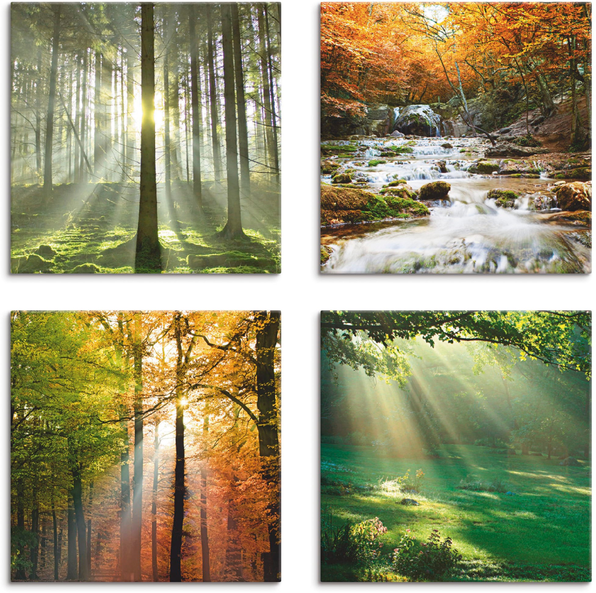 Artland Leinwandbild »Wald Bach Frühling Windrosen Sonne Baum«, Wald, (4 St.),  4er Set, verschiedene Grössen online kaufen | Jelmoli-Versand